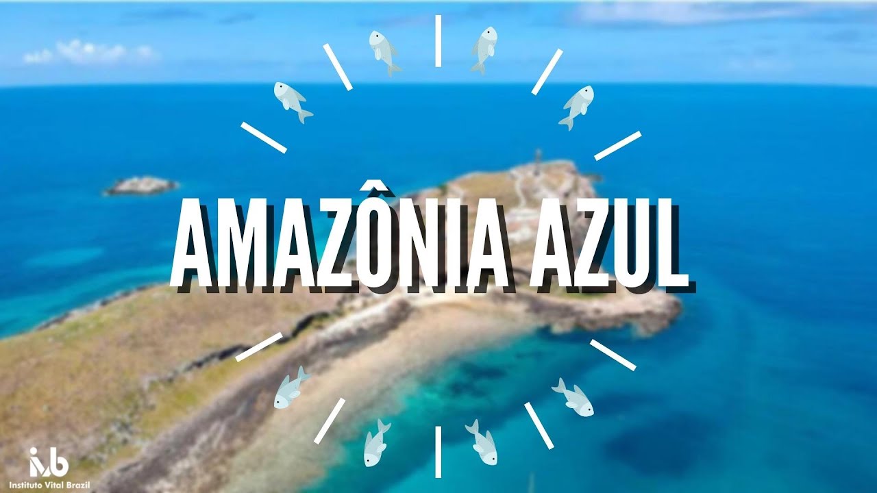 Você conhece a AMAZÔNIA AZUL?