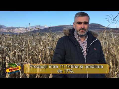 Testimonial DKC 3939 - Macarie Claudiu