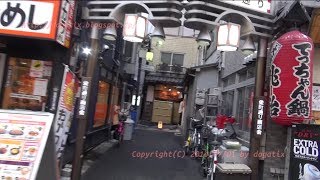 preview picture of video 'Japan Trip 2014 Tokyo Walking Ikebukuro Back alley Eating and Drinking Street'