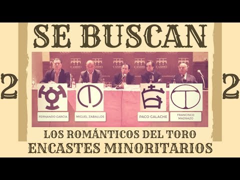 2/2 ENCASTES MINORITARIOS – ROMÁNTICOS DEL TORO