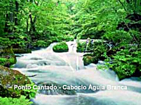 Cópia de Hinário "Caboclo Águia Branca"