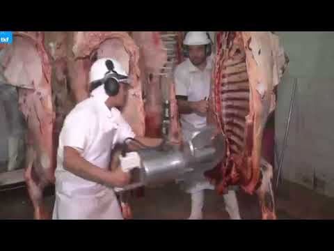 Frigorífico Pilotti S.A. (La Adela, La Pampa) - Publicidad - (c. 2018 - presente)