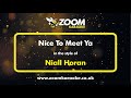 Niall Horan Nice To Meet Ya Karaoke Version From Zoom Karaoke
