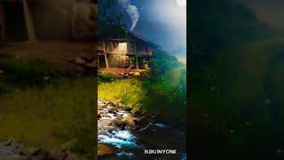 Download lagu Story WA mp3