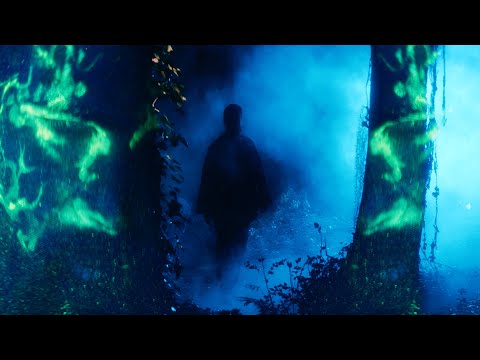 Hei'An - dreamer feat. Joe Buras from Born of Osiris (Official Music Video)