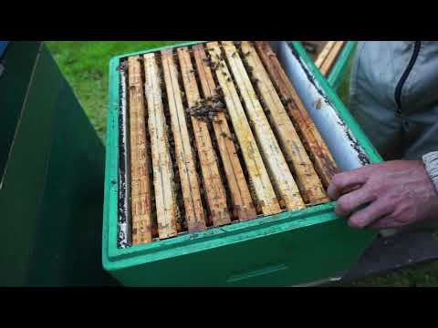 14a tworzenie odkładu zbiorczego