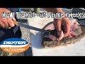 How to Cut Out Fluke / Flounder Cheeks