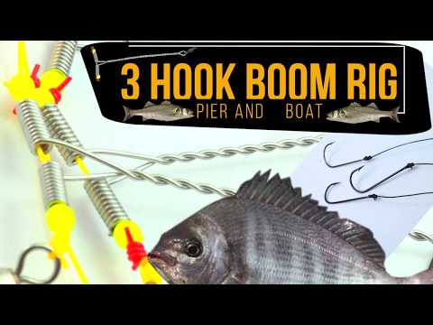 Sea fishing rig guide _Boom Rig -