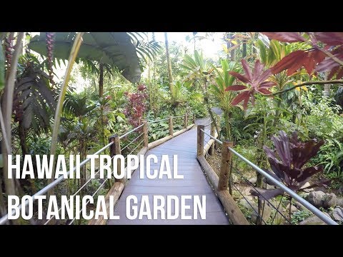 Hawaii Tropical Botanical Garden - Virtual Tour