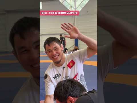Перед дебютом в UFC Гасанов спаррингует c Махачевым
