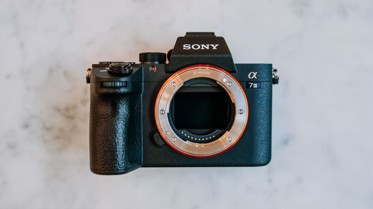 Test Sony Alpha 7 III réalisé par Grain pour PROPHOT