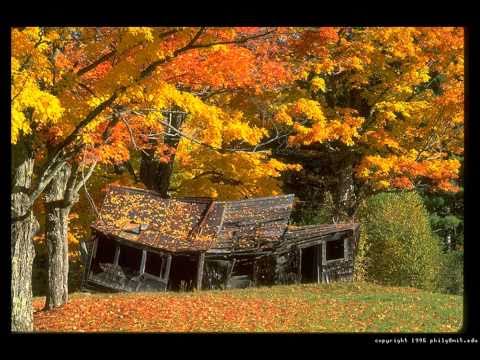 Erich Krieger - Vana Maja