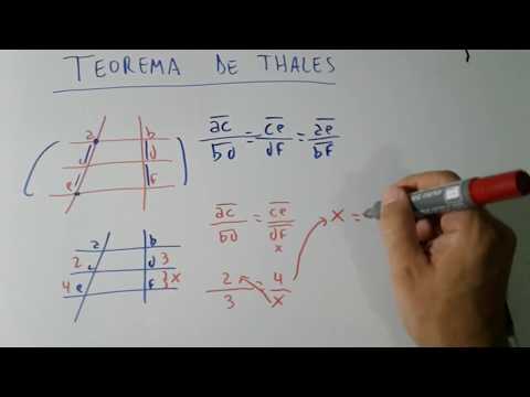 📌🎲 How to solve Thales's Theorem (5 minutes and you'll learn it perfectly)