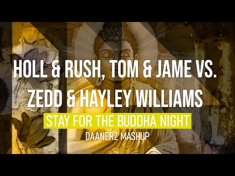 Holl & Rush vs. Tom & Jame vs. Zedd - Stay For the Buddha Night (DAANERZ Mashup)