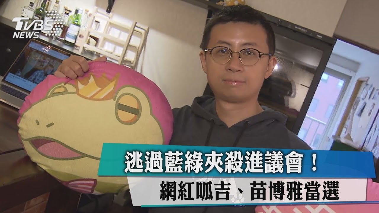逃過藍綠夾殺進議會！　網紅呱吉、苗博雅當選