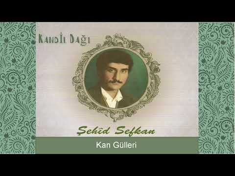 Şehîd Sefkan - Kan Gülleri