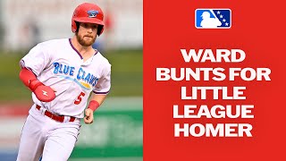 Nick Ward turns bunt in Little League homer | 2023 Minor League Highlights