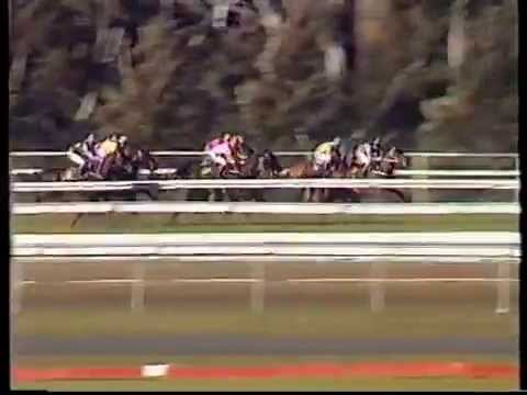 1988 San Domenico Stakes - Merimula Bay beating Full On By