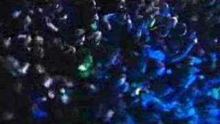 SENSES FAIL - Your Cute When You Scream