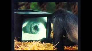 Roger Waters-What God Wants(Parts 1,2,3)