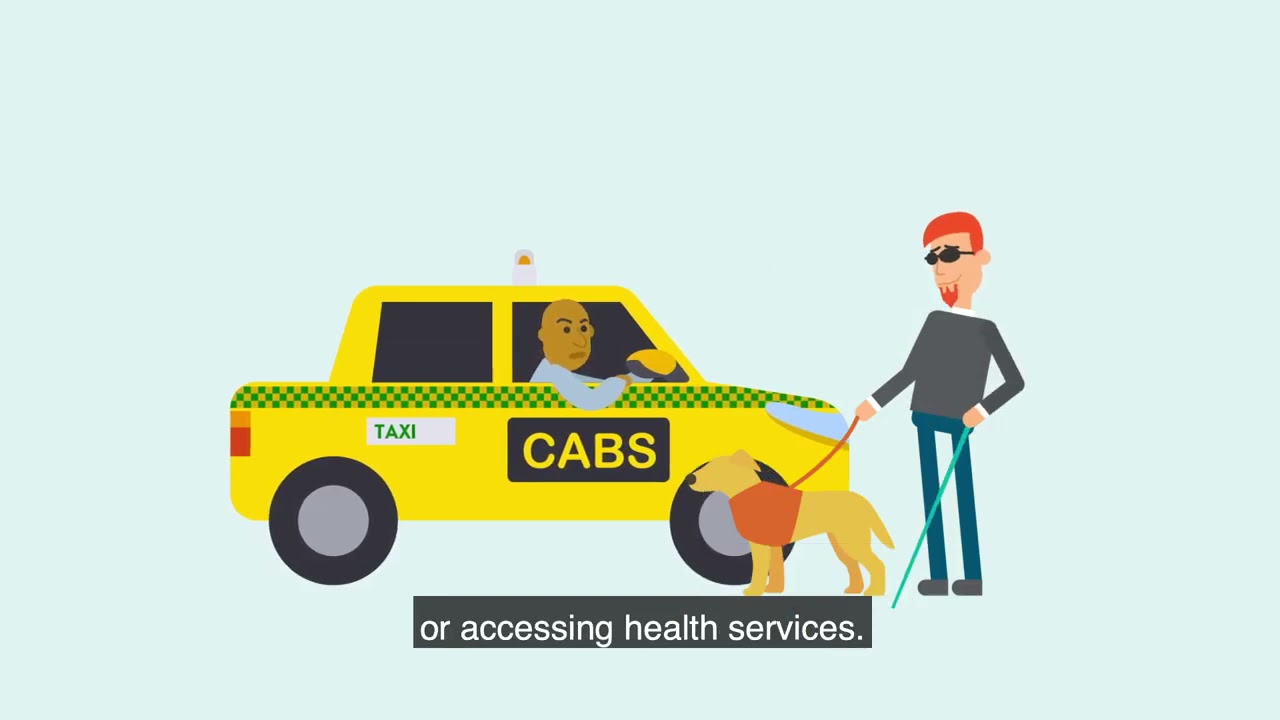 Understanding disability - Disability Action Plans