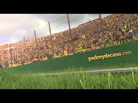 "Hinchada de Peñarol vs. Defensor Sp." Barra: Barra Amsterdam &bull; Club: Peñarol