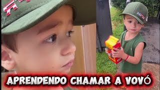 Os novos moradores da roça 