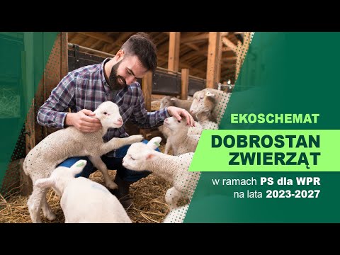 To się Opłaca - Ekoschemat Dobrostan zwierząt w ramach Planu Strategicznego dla WPR na lata 2023-27