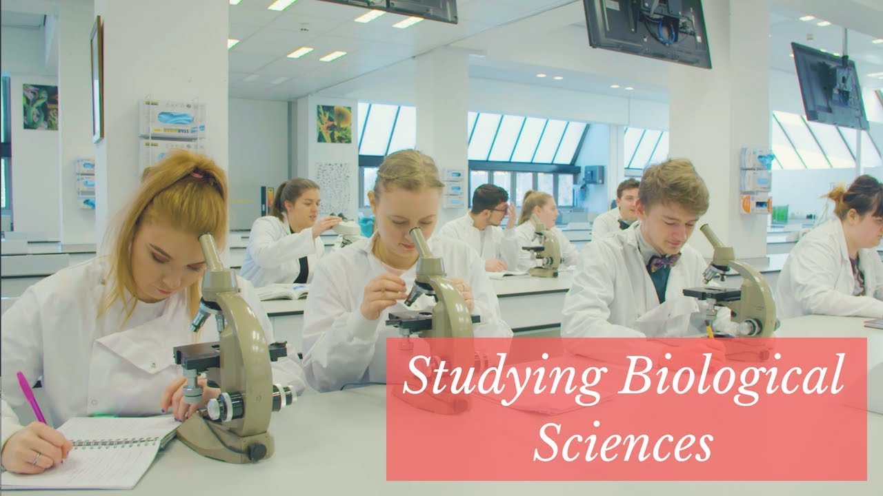 Studying Biological Sciences