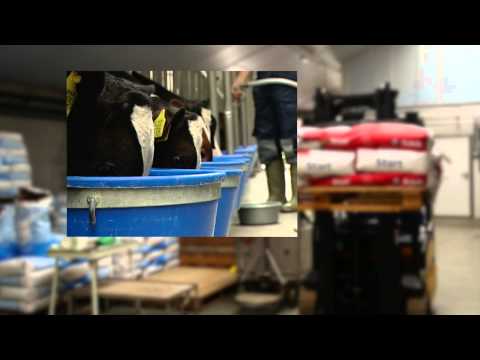 Trial farm ''De Haar'' in Scherpenzeel the Netherlands (Schils BV)