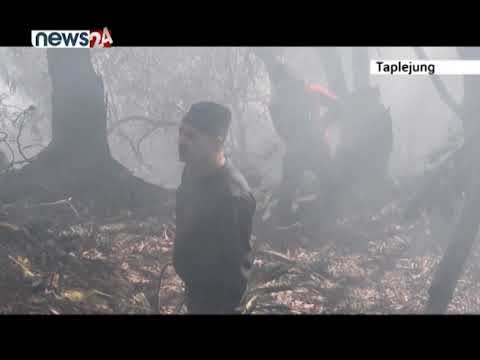 पाथीभरा क्षेत्रको जंगलमा सात दिनदेखि लागेको डढेलो अझै नियन्त्रणमा आएन - NEWS24 TV