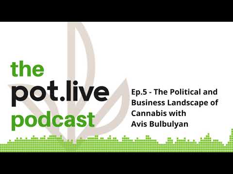 Ep.5 - The Political and Business Landscape of Cannabis with Avis Bulbulyan