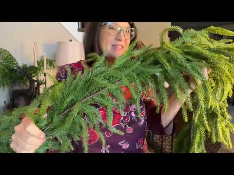 9FT Norfolk Pine Garland Review | Real Touch Christmas Greenery for Mantle & More