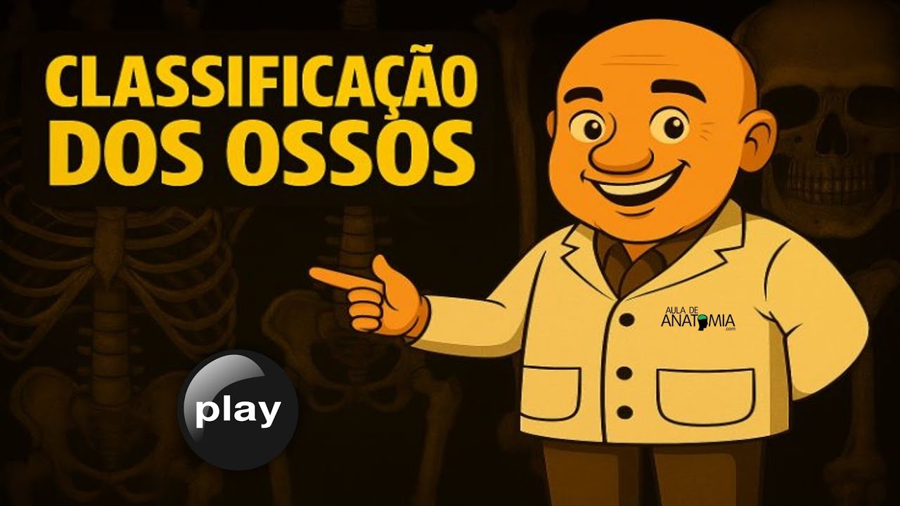 CLASSIFICAÇÃO DOS OSSOS #anatomy #fisioterapia #ortopedia #medicina #osteopatia #enfermagem #trauma