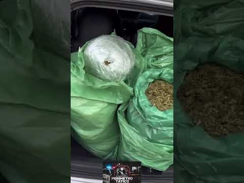 PRF na Paraíba intercepta carro após tentativa de fuga e apreende 25 kg de "supermaconha" na BR-230