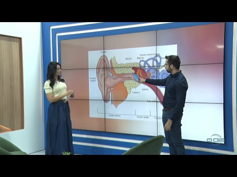 Saiba quais são os tipos de perda auditiva e como identificar 28 07 2022