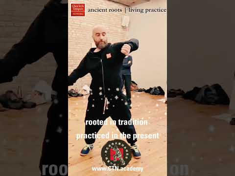 YouTube Shorts Preview