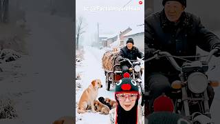 Download lagu buatkan rumah‼️FactsInspireHub mp3