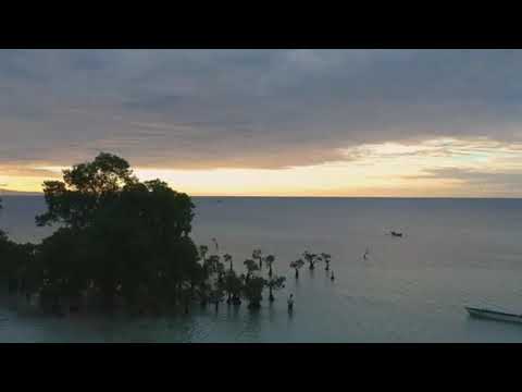 lagu acara #sumba😘🙏