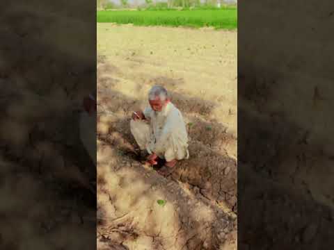 Al Quran pak tlavat is very best video #quotes #unfrezzmyaccount Hafiz AbdulRaheem 53 Gb jaranwala