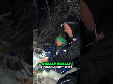 Outdoor boys - Winter Survival Camping with 4 yr old in Alaska