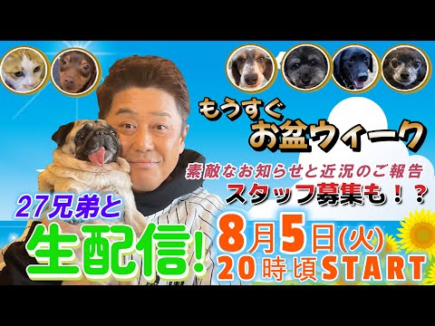 【27兄弟と生配信】太陽君も元気です！もうすぐお盆ウィーク！スタッフ募集のお知らせも！？