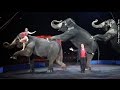 Ringling Bros Will Retire Its Circus Elephants Early Newsy