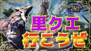 【モンスターハンターライズ】#2 今さらモンハンライズを始めたので温かく見守ってください【生放送】