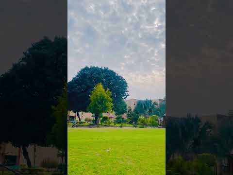 Die with a smile #foryou #izhaan #izhaan #sub