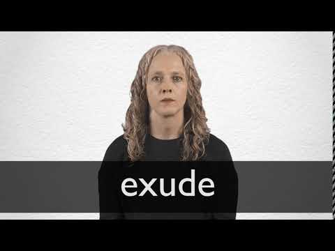 How to pronounce EXUDE in British English
