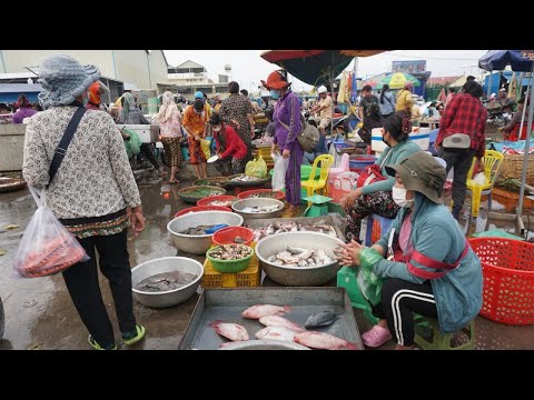Big Site Distribute SeaFood & Fish@Prek Phnov Bridge - Morning Daily LifeStyle of Vendor Buying Fish