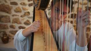 Malaguena - Isaac Albeniz (harp)