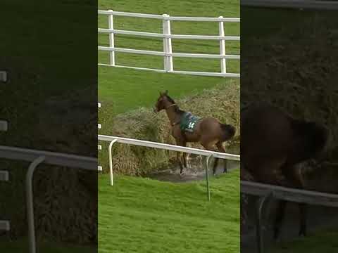 Horse does something extraordinary! #racingtv #horseracing #sport #shorts