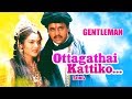 AR Rahman Hits | Ottagathai Kattiko Video Song | Gentleman Tamil Movie | Arjun | Madhoo | AR Rahman
